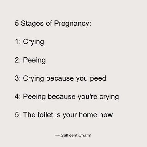 Pregnancy Quotes Funny, Pregnancy Jokes, Pregnancy Memes, Pregnancy Hormones, Pregnancy Quotes, Baby Einstein, Alicia Keys, Pregnancy Humor, Pregnancy Stages