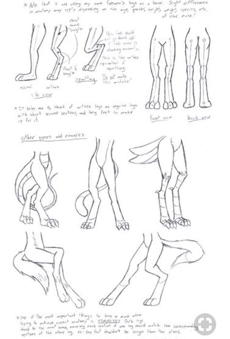 Leg Tutorial, Anatomy Drawing, Poses References, Guided Drawing, Anatomy Reference, Drawing Base, Drawing Poses, Drawing Reference Poses, Drawing Tips