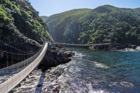 Tsitsikamma National Park Stock Pictures, Royalty-free Photos & Images - Getty Images Tsitsikamma National Park, Taroko National Park, Corcovado National Park, Stradbroke Island, Mangrove Swamp, Daintree Rainforest, Isle Of Arran, Temperate Rainforest, North Cascades National Park