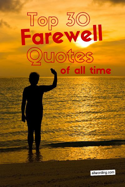 Top 30 farewell quotes and sayings Farewell Quotes For Coworker, Funny Farewell Quotes, Farewell Quotes For Friends, Best Farewell Quotes, Bye Quotes, Funny Goodbye, Coworker Quotes, Farewell Message, Goodbye Party