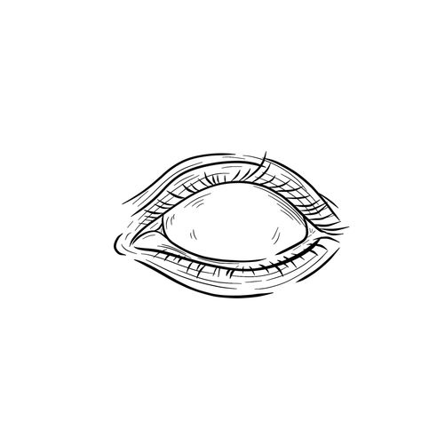 White Eyes Drawing, Eyes Drawing, White Eyes, Eye Drawing, Conceptual Art, Digital Drawing, Digital Art, Tattoos, Drawings