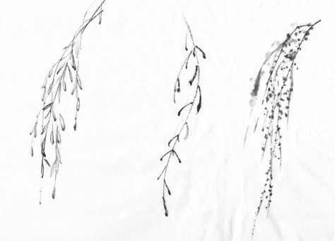 Weeping Willow Tattoo, Tree Branch Tattoo, Creek Water, Willow Tree Tattoos, Mud Pies, Willow Leaves, Rose Drawing Tattoo, Native Tattoos, Tree Paintings