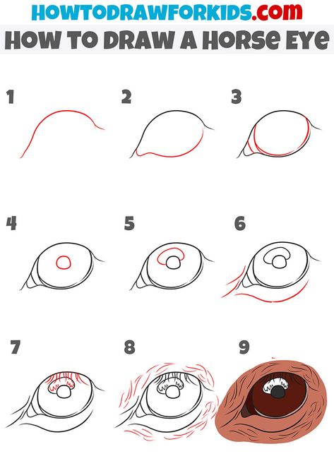 how to draw a Horse Eye step by step Horse Eye Drawing Tutorial, Drawing Horse Eyes, Horse Sketch Easy Step By Step, How To Paint Horse Eyes, Horse Eye Sketch, How To Draw A Horse Eye, Horse Face Drawing Step By Step, How To Draw A Horse Head Step By Step, Horse Painting Tutorial Step By Step