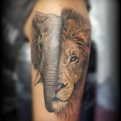 240+ Taurus Tattoo Designs (2020) Ideas for Horoscope Zodiac Symbols Tiger And Elephant Tattoo Together, Bull Elephant Tattoo, Be Brave Be Strong Tattoo Elephant Lion, Elephant Lion Tattoo Sleeve, Tiger Elephant Tattoo, Half Elephant Half Lion Tattoo, Lion And Elephant Tattoo For Women, Elephant Lion Tattoo, Lion Elephant Tattoo