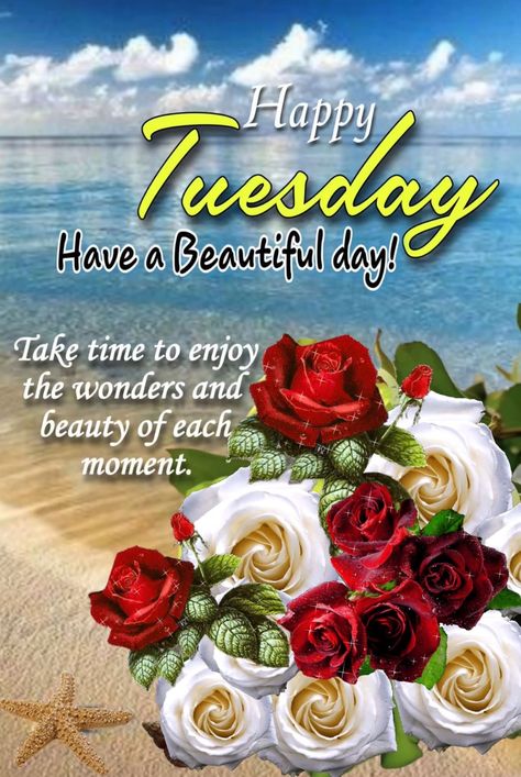 Tuesday Afternoon Quotes, Good Afternoon Tuesday, Tuesday Quotes Good Morning, Tuesday Greetings, Tuesday Blessings, Happy Tuesday Friends, New Year Wishes Images, Morning Tuesday, Sweetheart Quotes