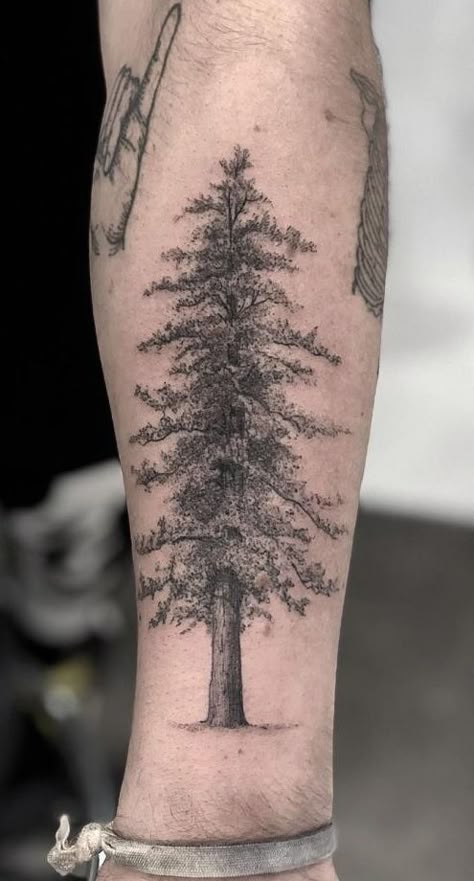 Industrial Tattoo, Redwood Tattoo, Tree Tattoo Color, Tree Silhouette Tattoo, Tree Tattoo Meaning, 27 Tattoo, Pine Tattoo, Tree Tattoo Forearm, Tree Tattoo Arm