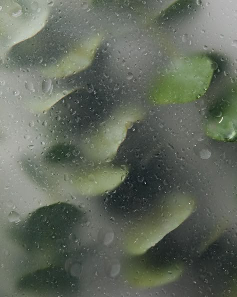 Wish my shower looked like this 🌿 #eucalyptus #botanical #steamy #dreambathroom #photographersofinstagram Shower Eucalyptus Aesthetic, Eucalyptus Aesthetic, Shower Eucalyptus, Spa Marketing, Close Up Photography, Dream Bathrooms, Anne Marie, Marketing Ideas, Close Up