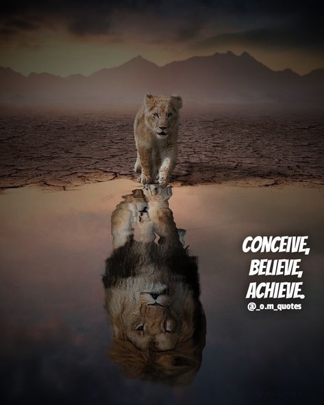 Lion Motivation Quotes, Spiritual Uplifting Quotes, Lion Motivation, Lioness Quotes, Lion Background, Royal Quotes, Identity Quotes, Sigma Rules, Lion Lioness