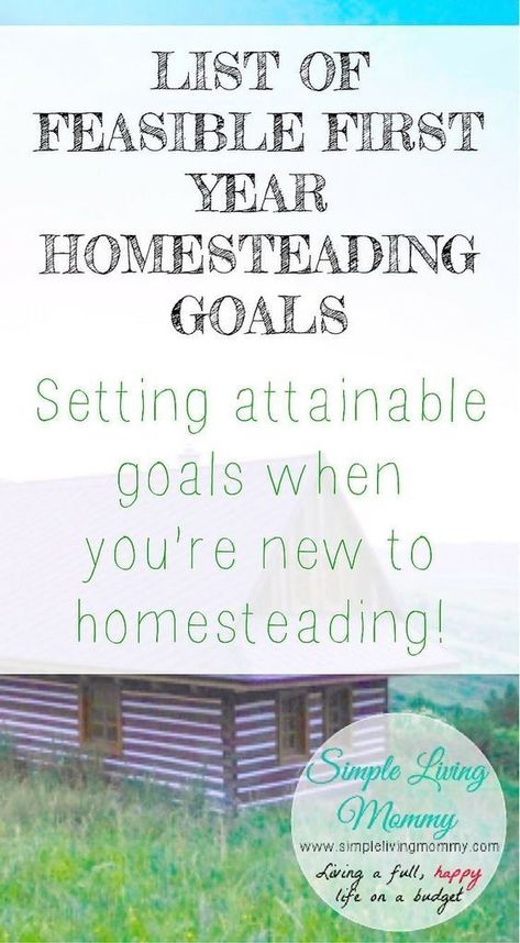 Homesteading Goals, Goals List, Homesteading Diy, Homestead Farm, Homestead Gardens, Homesteading Skills, Homestead Living, New Lifestyle, Urban Homesteading