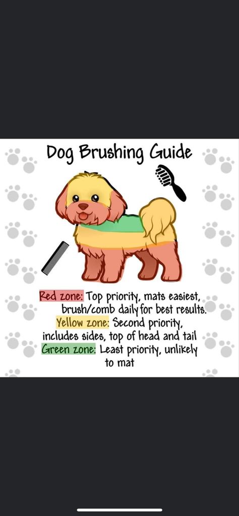 Dog Grooming Chart, Dog Care Tips Pet Grooming, Dog Grooming Ideas Business, Tiny Dog Grooming Salon Ideas, Dog Grooming Advertising Ideas, Dog Grooming Outfits, Dog Salon Ideas Interior Design Pet Grooming, Dog Groomer Tattoo Ideas, Grooming Business Ideas