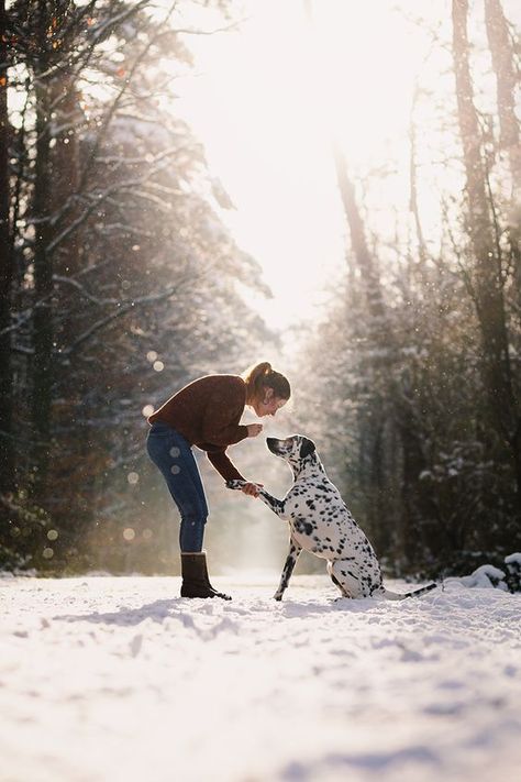 I’ve come up with some tips for pet parents and their pups to stay safe in the snow. Dog Owner Photography, Pet Photography Poses, Dog Photoshoot Pet Photography, Dog Photography Poses, Animal Photoshoot, Snow Photoshoot, Photos With Dog, Snow Pictures, Snow Photography