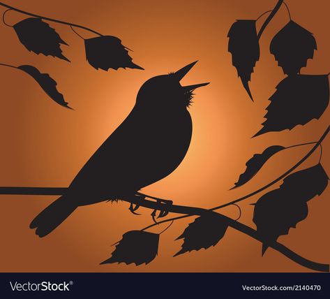 Singing bird vector image on VectorStock Bird Singing, Bird Vector, Singing Bird, Sparrows, Png Images, Print On Demand, Vector Images, Vector Free, Singing