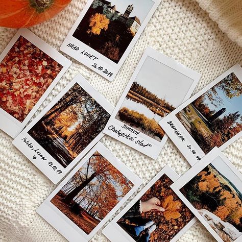 The most beautiful Autumnal colours captured by @micha_elan 🍂⠀⠀⠀⠀⠀⠀⠀⠀⠀ What is your favourite season to capture with your instax? ⠀⠀⠀⠀⠀⠀⠀⠀⠀… Autumnal Colours, Favourite Season, Polaroid Camera, Polaroid Pictures, Best Seasons, Autumn Cozy, Autumn Aesthetic, Autumn Photography, Autumn Theme