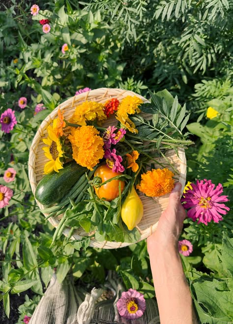 POV UGC holding basket of fresh picked flowers and vegetables in a home garden during summer. Picked Flowers, Gardening Aesthetic, Vision Board Images, Flower Picks, Garden Flowers, Dream Life, Flower Garden, Home Garden, Vision Board