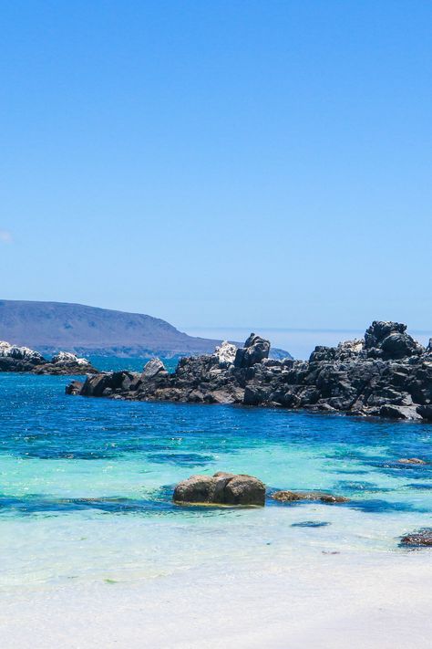 Beautiful beach at Bahia Inglesa, Chile Chile Beaches, Chile Wedding, Chile Trip, Patagonia Chile, Chile Travel, South America Travel, Travel Sites, Dream Destinations, America Travel