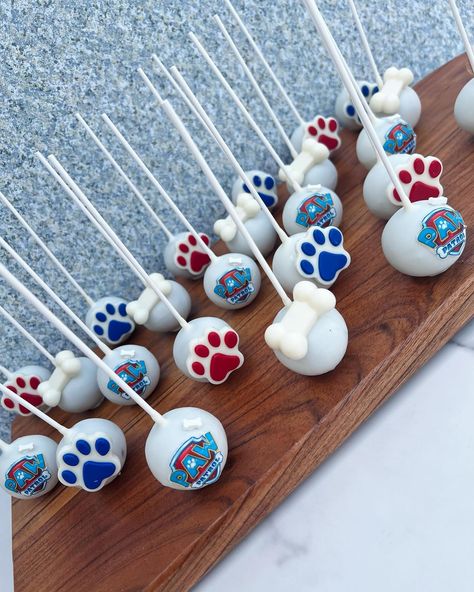 Paw patrol theme cakepops #cakepops #paletasdepastel #chocolatediptreats #paletitasdecoradas #pawpatrolcakepops #sugarart #edibleart #angiesweetcreations Paw Patrol Party Treat Ideas, Paw Patrol Cake Pops Ideas, Paw Patrol Rice Crispy Treats, Paw Patrol Cakepops, Paw Patrol Dessert Table, Paw Patrol Cake Pops, Paw Patrol Treats, Paw Patrol Theme, Paw Patrol Birthday Theme