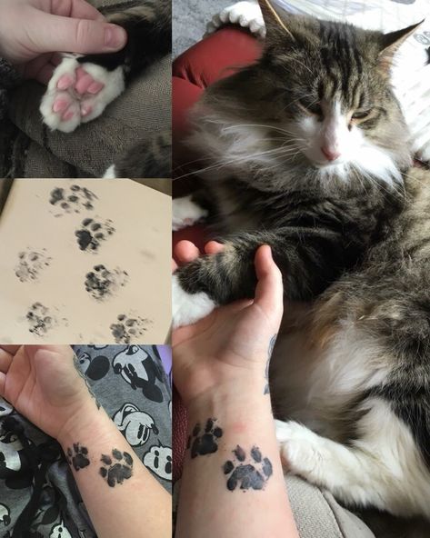 Cat paw print tattoo best friend black and grey wrist piece 🐾🖤 Pas Print Tattoo, Pet Tattoos Cat Paw Prints, Kitten Paw Print Tattoo, Cat Paw Print Painting, Cat Paw Print Tattoo Placement, Paw Print Tattoo On Wrist, Real Paw Print Tattoo, Paw Cat Tattoo, Paw Tattoo Cat