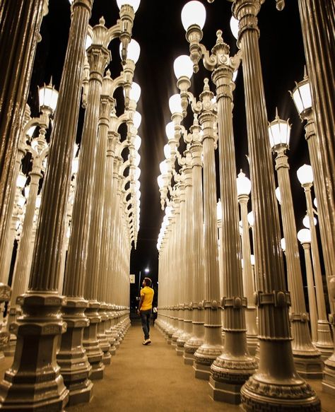 "Urban Light" (by Chris Burden) - in LA Los Angeles Landmarks, Urban Lights Los Angeles, La Museum Of Art, Lacma Lights, Chris Burden, Urban Lights, Urban Light, Rose Street, Los Angeles Photography