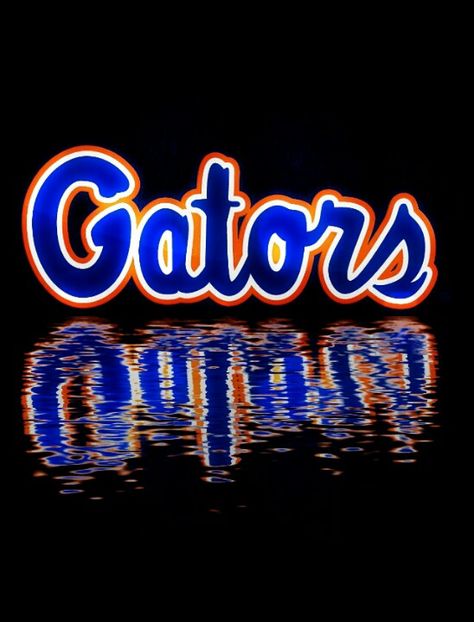 Gators Fla Gators, Florida Gators Wallpaper, Florida Gators Softball, Uf Gator, Uf Gators, Florida Football, Florida Gators Football, Gators Football, Tim Tebow