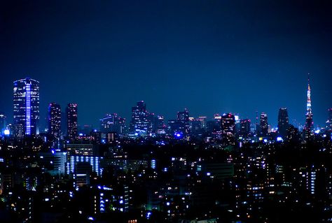 Things To Do In Tokyo, Night Skyline, Tokyo Night, Tokyo City, Breathtaking Places, Widescreen Wallpaper, Night Scenery, Blue City, City Vibe