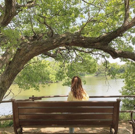 Park Bench Photoshoot, River Girl Aesthetic, Roslyn Aesthetic, Nanowrimo Aesthetic, Park Bench Aesthetic, Dreamy Aesthetic Vintage, Countryside Picnic, Mushroom Field, Farmhouse Green