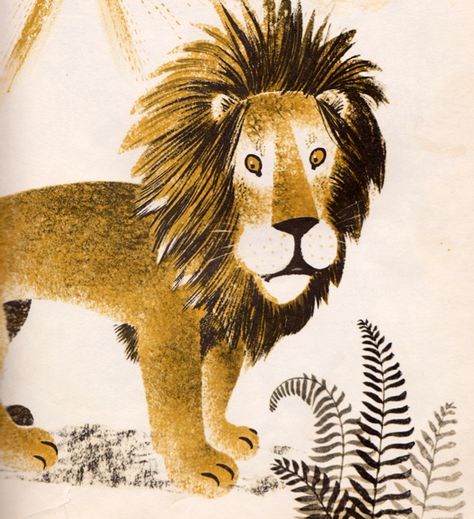 Lucy Illustration, Leonard Weisgard, Lion Art Tattoo, Lion Book, Lion Illustration, Jungle Illustration, Mid Century Illustration, Picture Books Illustration, Lion Art