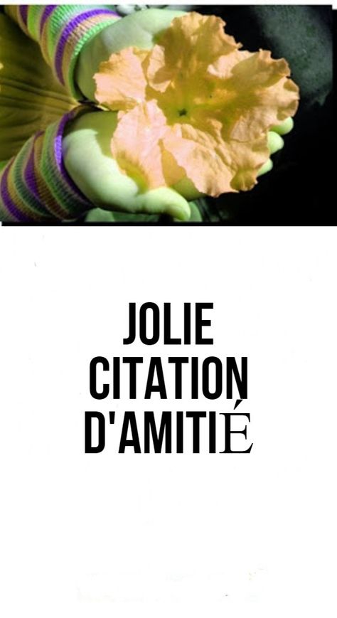 JOLIE CITATION D'AMITIÉ Jolie Citation, La Chose, Fruit