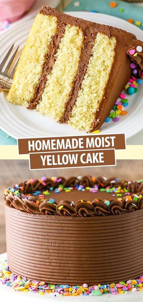 This Moist Yellow Cake recipe is tender with a soft crumb! It’s made completely from-scratch and is way better than any box cake mix. The vanilla flavor pairs perfectly with the chocolate buttercream frosting for the perfect classic yellow cake! 2 Layer Yellow Cake Recipe, Best Yellow Cake Recipe Moist, Yellow Cake Mix Into Chocolate, Moist Birthday Cake Recipe, Yellow Cake Recipes, Easy Yellow Cake Recipe, Chocolate Frosting Cake, Best Yellow Cake Recipe, Easy Yellow Cake