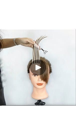 230K views · 19K reactions | Here’s how I did this layered curtain fringe:

1. I cut straight across to establish the length of the sides and to make sure that they are even

2. I cut a guide in the middle to establish how long I want it to be

3. I elevated the hair and connected the middle to the sides using my finger angle

4. Point cut

Because I elevated the hair, it caused the top to travel less and the bottom to travel more. This made the fringe shorter on top and longer towards the bottom, layering it, making it thinner.

Because of my finger angle connecting the lengths that I established, I was able to make the fringe shorter in the middle and longer towards the sides.

Change up the lengths, point cut more, point cut less, or don’t point cut at all. You can even use overdirectio 200k Views, Summer Hair Trends, Point Cut, Curtain Fringe, Hair Techniques, Short Fringe, Cut Hair, The Fringe, Long I