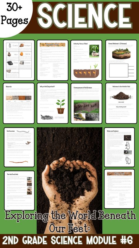 Exploring the World Beneath Our Feet: A Second-Grade Workbook on Soil Second Grade Printables Free, Second Grade Science, Soil Layers, Science Worksheets, Clay Soil, Earth From Space, Classroom Setting, Exploring The World, Home Education