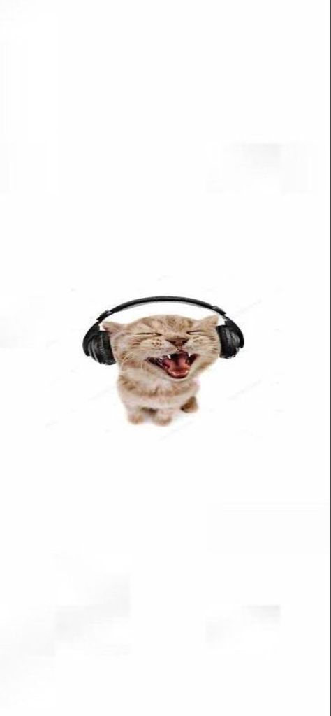 #cats #headphones #wallpaper #aesthetic #cutecat Silly Cats Pictures Wallpaper, Cat With Headphones Wallpaper, Headphone Wallpaper Aesthetic, Cat Wearing Headphones Pfp, Headphone Aesthetic Wallpaper, Silly Phone Wallpapers, Silly Cats Wallpaper, Headphones Wallpaper Aesthetic, Cat With Headphones Pfp