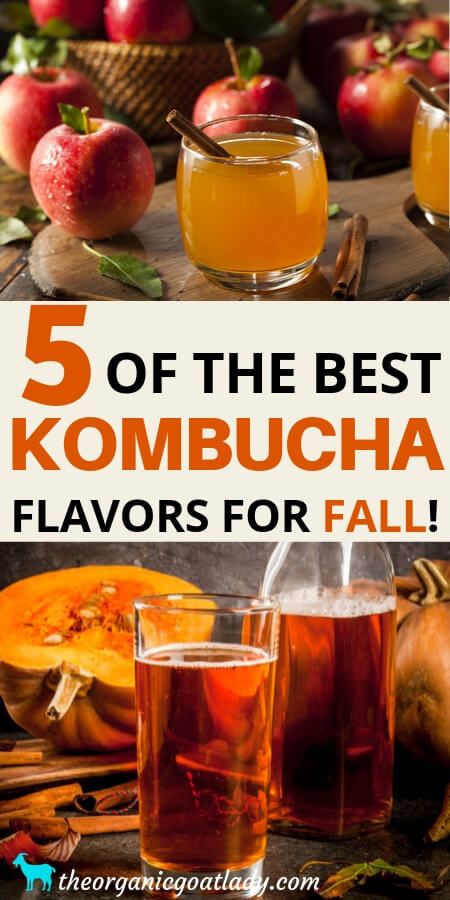 Fall Kombucha Flavors, Gut Drink, Ginger Kombucha Recipe, Kombucha Flavors Recipes, Cranberry Kombucha, Best Kombucha, Diy Kombucha, Kombucha Cocktail, Kombucha Flavors