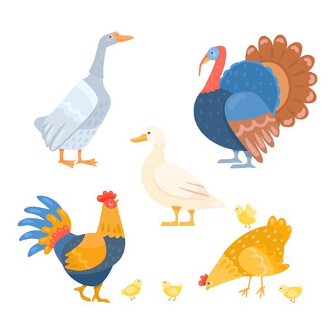 Free Vector | Different farm birds set cartoon illustration set. geese, turkey cock, duck, rooster, hen with little chickens isolated on white background. domestic animal, poultry concept Rooster Illustration, I Love Yoga, Chicken Vector, Chicken Illustration, Baby Animal Drawings, Turkey Chicken, White Chicken, Yoga Pose, Bird Illustration