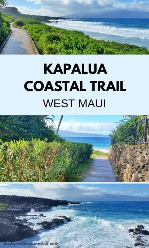 Kapalua Coastal Trail: PICS The best of this Kapalua hike in West Maui 🌴 Hawaii travel blog | Flashpacking America Maui Hawaii Honeymoon, Kapalua Maui, Maui Travel Guide, Us Beach Vacations, Hawaii Hikes, Things To Do In Maui, Maui Hawaii Vacation, Hawaii Things To Do, Hawaii Travel Guide