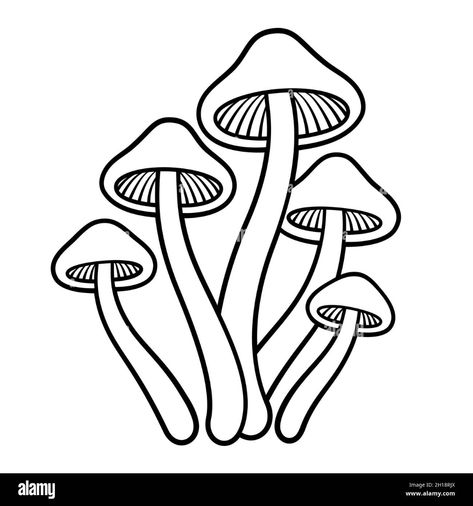 Mushroom Line Drawing, Mushroom Coloring, Punk Fashion Diy, Cats Art Drawing, Mushroom Tattoos, Mushroom Drawing, Magic Mushroom, Shadow Art, Zentangle Drawings