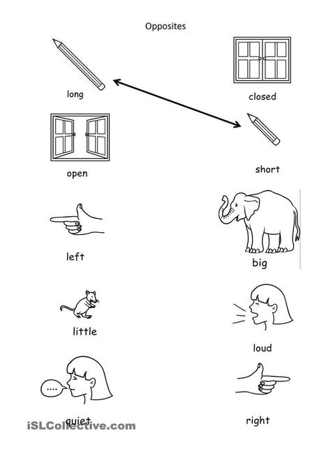 Opposites Preschool, Opposites Worksheet, Antonyms Worksheet, Worksheet For Kindergarten, Worksheets For Preschoolers, English Worksheets For Kindergarten, English Activities For Kids, Opposite Words, Preschool Math Worksheets