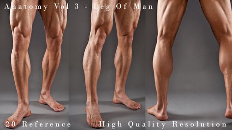 Arm Veins, How To Draw Muscles, Leg Anatomy, Muscular Legs, Muscle Anatomy, Human Anatomy Art, People Poses, The Body Book, Human Poses Reference