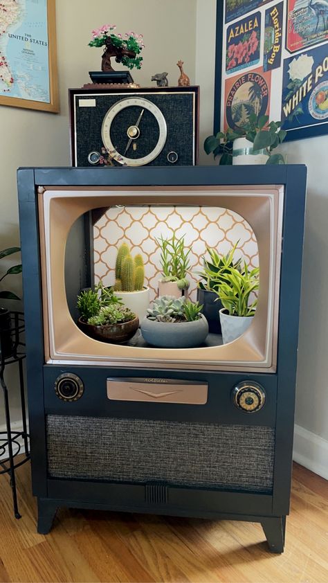 Old Tv Ideas Diy Projects, Old Tv Upcycle, Recycled Tv Cabinets, Vintage Tv Terrarium, Old Tv Into Cat Bed, Upcycke Tv Stand, Diy Furniture Upgrade, Cool Shelves, Vintage Tv