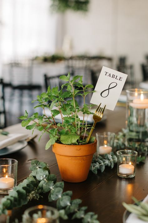 Greenery and potted plant wedding centerpiece with a fork holding the table number in Tampa, Florida | Renee Nicole Photography Terracotta Pots Table Decor, Non Traditional Table Numbers, Herbs Decoration Ideas, Terracotta Wedding Inspiration, Botanical Wedding Ceremony, Herbs Table Decoration, Herb Table Setting, Potted Plants Wedding Table, Wedding Terracotta Pots