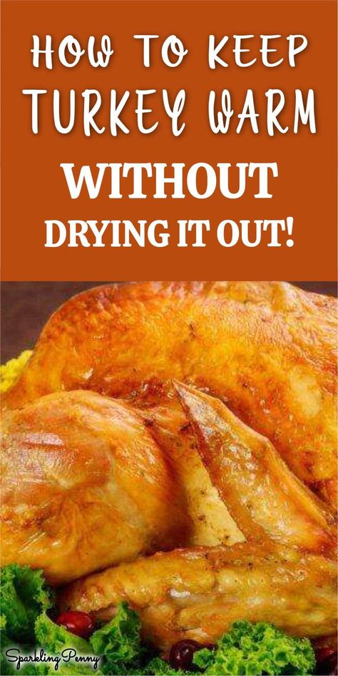 When your guests are late but your turkey is cooked, how do you keep it warm and succulent until they arrive? Keeping Turkey Warm In Crockpot, Precooked Turkey, Reheat Turkey, Turkey Cooking Times, Turkey Cooking, Turkey Meals, Moist Turkey, Turkey Meat Recipes, Thanksgiving 2023