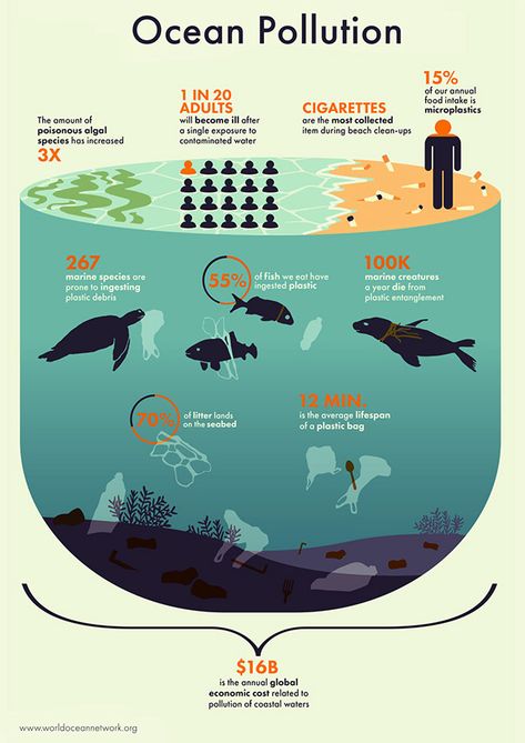 Ocean Pollution on Behance Scientific Poster Design, Infographic Examples, Illustration Infographic, Scientific Poster, Ocean Ecosystem, Marine Pollution, Ocean Pollution, Graphic Design Infographic, Data Design