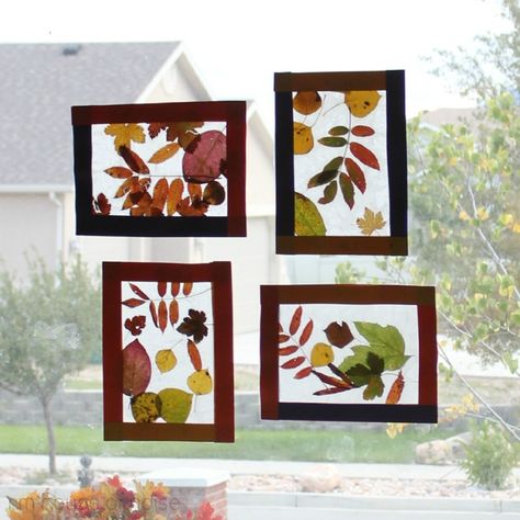 Kids Craft: Fall leaf stained glass. Fall Leaf Art Projects, Autumn Leaves Art, Leaf Crafts, Autumn Crafts, Fall Crafts For Kids, Fall Leaf, Fall Kids, Nature Crafts, Autumn Activities