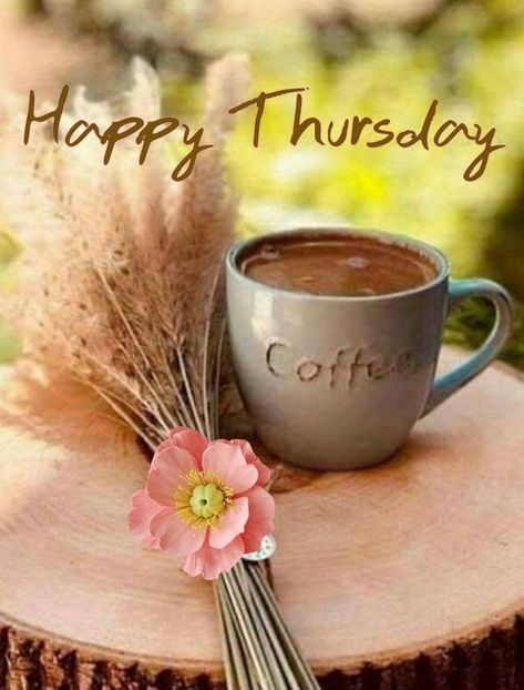 Thursday Morning Images, Happy Thursday Morning, Happy Thursday Images, Thursday Images, Thursday Greetings, Good Morning Happy Thursday, Farmhouse Shop, Good Morning Tea, Happy Thursday Quotes