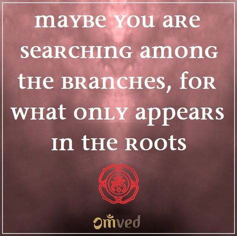 A beautiful quote for the Muladhara or ROOT chakra by Rumi - "Maybe you are searching among the branches, for what only appears in the roots." 1st Chakra, Reiki Quotes, Community Quotes, Chakra Healing Music, A Beautiful Quote, Art Spirituality, Chakras Meditation, Muladhara Chakra, Yoga Themes