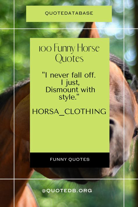 Funny horse quotes share many humorous remarks about horses, whether its riding or just caring for them. #funnyhorsequotes #funnyquotesabouthorses #funnyquotes Funnt Quotes, Funny Horse Quotes, William Faulkner Quotes, Quotes Popular, Horse Quotes Funny, Unknown Quotes, Winston Churchill Quotes, Riding Quotes, Funny Horses