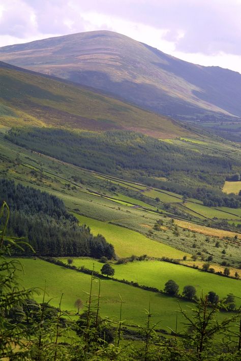 The green, velvet beauty of Mount Leinster, County Carlow Carlow Ireland, Irish Phrases, Irish Slang, Ireland Pictures, Irish Country, Irish Countryside, Irish Landscape, Irish Roots, Ireland Landscape