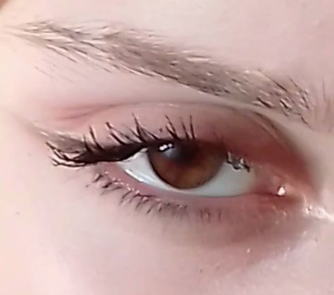 Siren Brown Eyes, Brown Siren Eyes, Upturned Eyes Aesthetic, Sanpaku Eyes Aesthetic, Siren Eyes Aesthetic, Upturned Eyes, Eyeliner Brown Eyes, Feline Eyes, Fairy Eyes