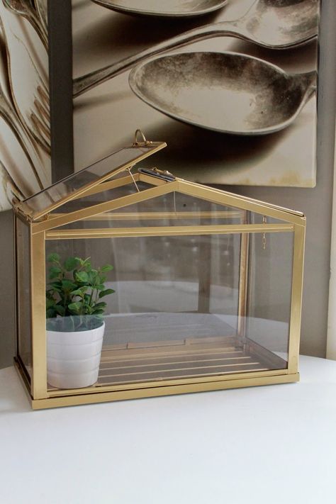 20 Marvelous Indoor Garden Ideas Combating Lack of Space or Harsh Weathers! Ikea Hack Gold, Wedding Card Box Ideas, Card Box Ideas, Gold Terrarium, Square Foot Gardening Layout, Dream Backyard Garden, Garden Fence Ideas, Urban Backyard, Backyard Garden Diy