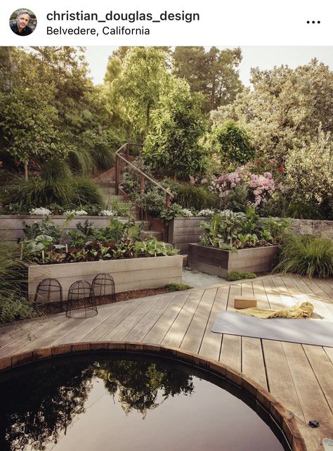 Japanese Inspired Garden, Gardening Trends, Perennial Shrubs, Planting Hydrangeas, Beautiful Yards, Garden Animals, Landscape Architecture Design, Backyard Farming, Outdoor Gardens Design