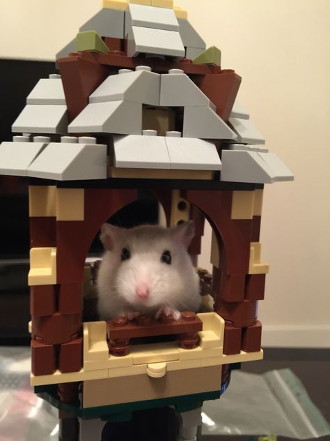 Hamster in a Lego Tower Lego Tower, Lego, Tower, Animals